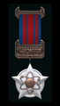 Fleet School Graduate Ribbon