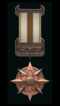 The Voyager Star of Distinction