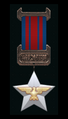 SCFS Distinguished Command Medal