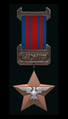 SCFS Medal of Leadership