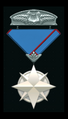 Anoikis Division Service Award